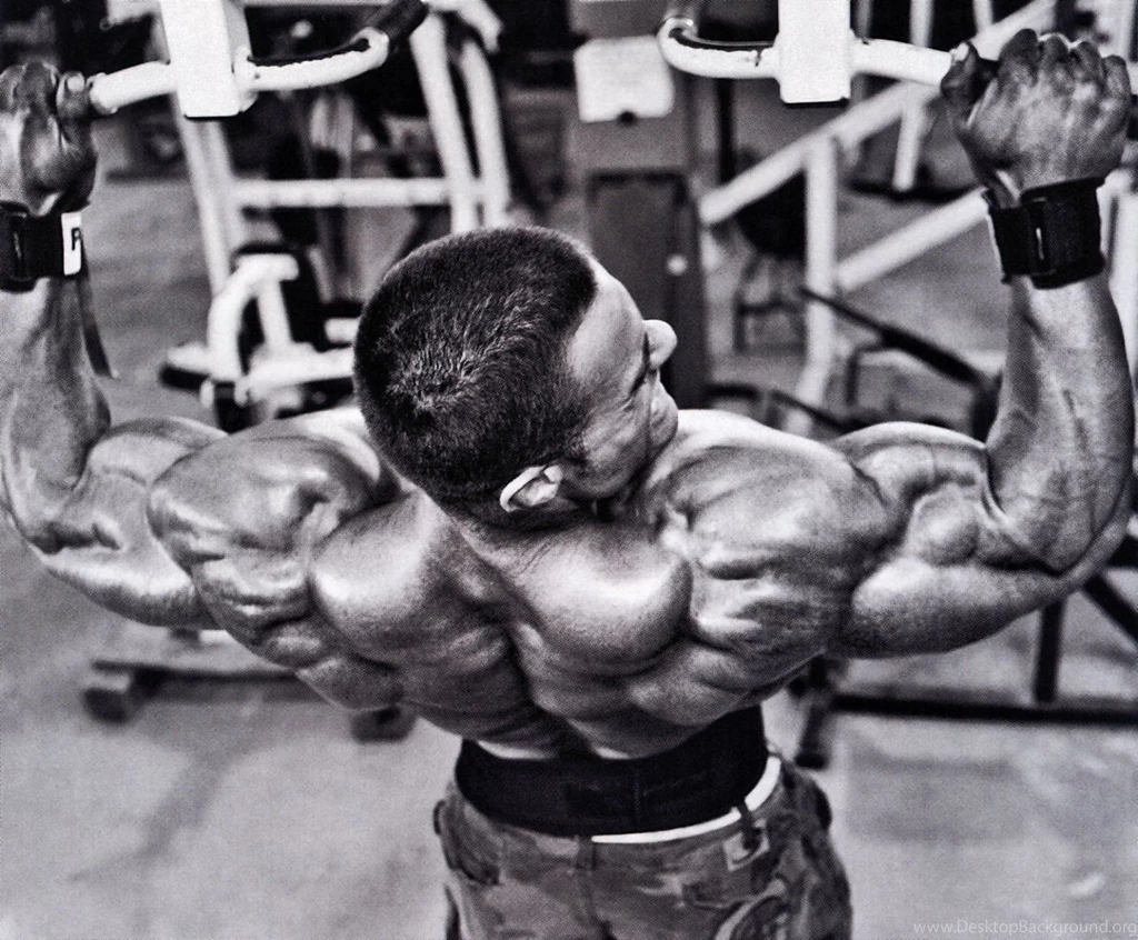 Bodybuilding Desktop Wallpaper, Bodybuilding Images, New Wallpapers