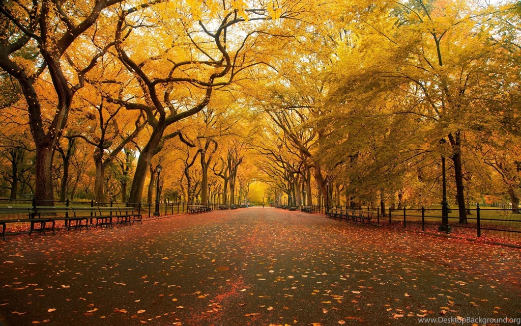 Nature Desktop Wallpapers Collection Available For Download