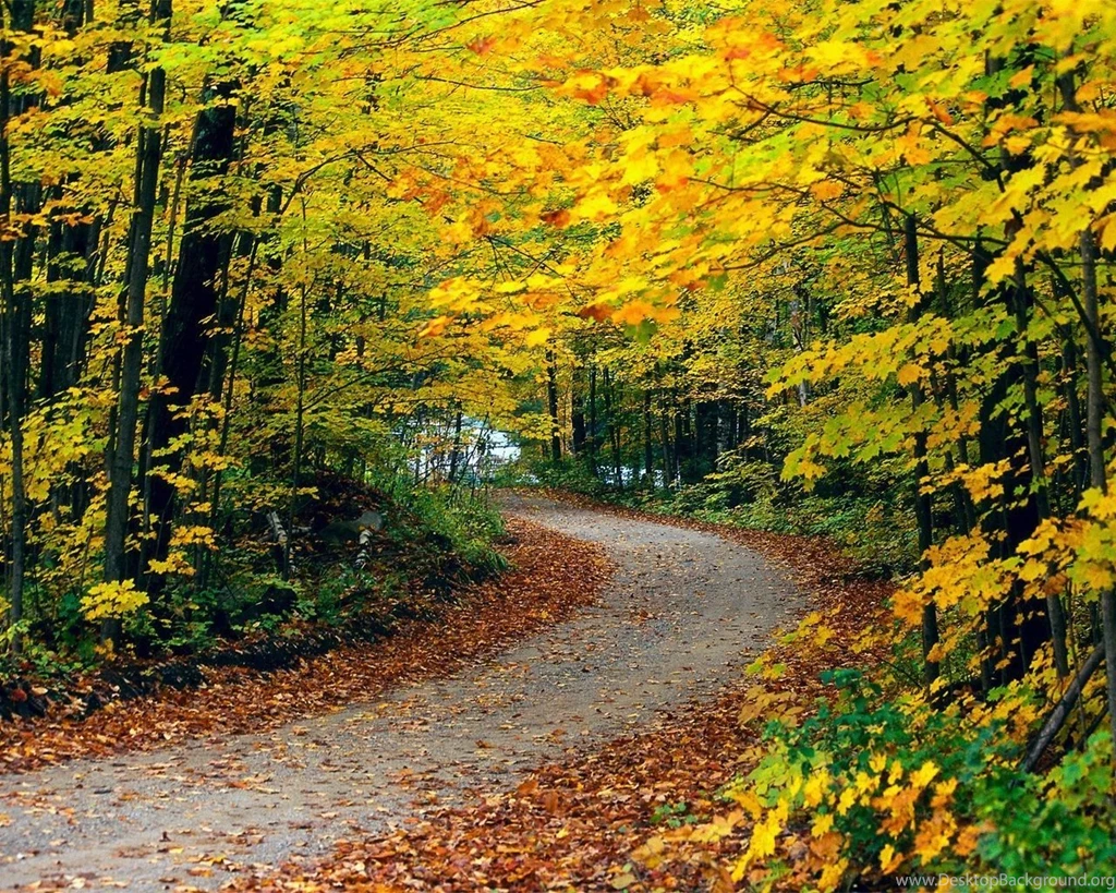 Free Desktop Nature Wallpaper Backgrounds HD Images New
