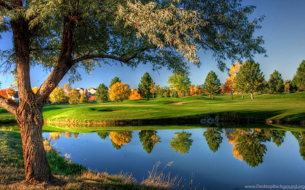 HD Wallpapers Nature.jpg