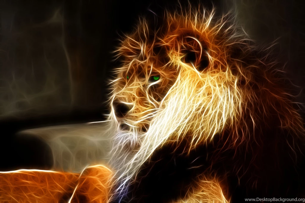 794 Lion HD Wallpapers