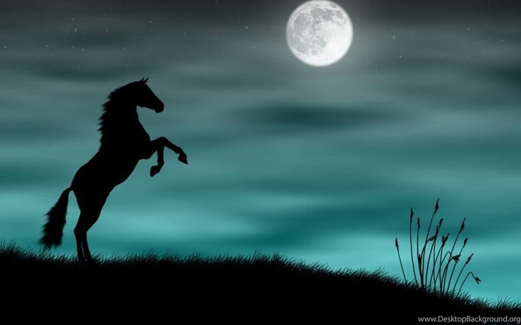 Beautiful Horses Wallpapers
