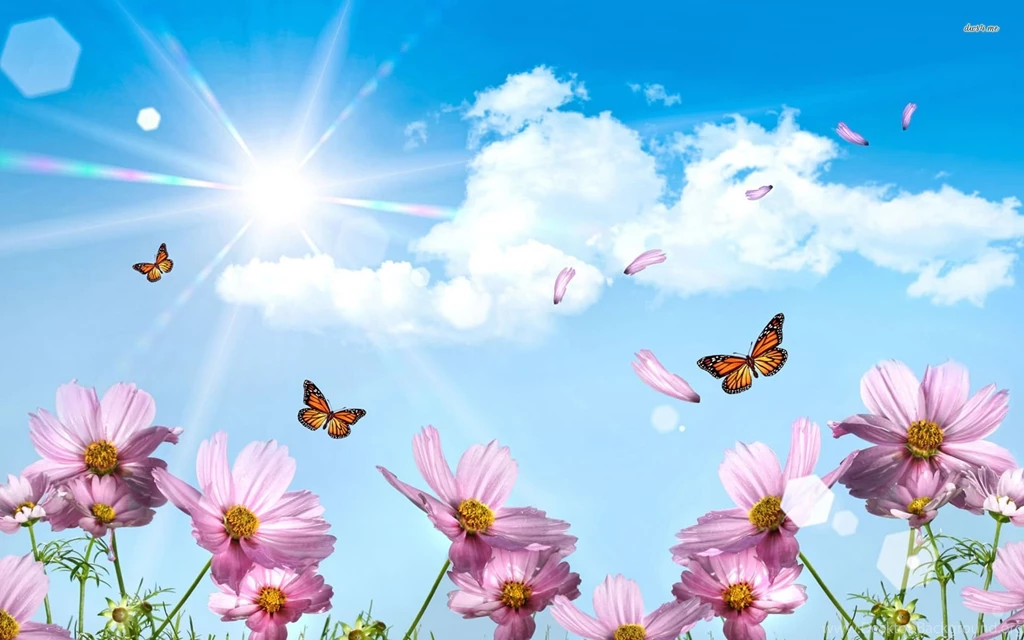 HD Spring Wallpapers