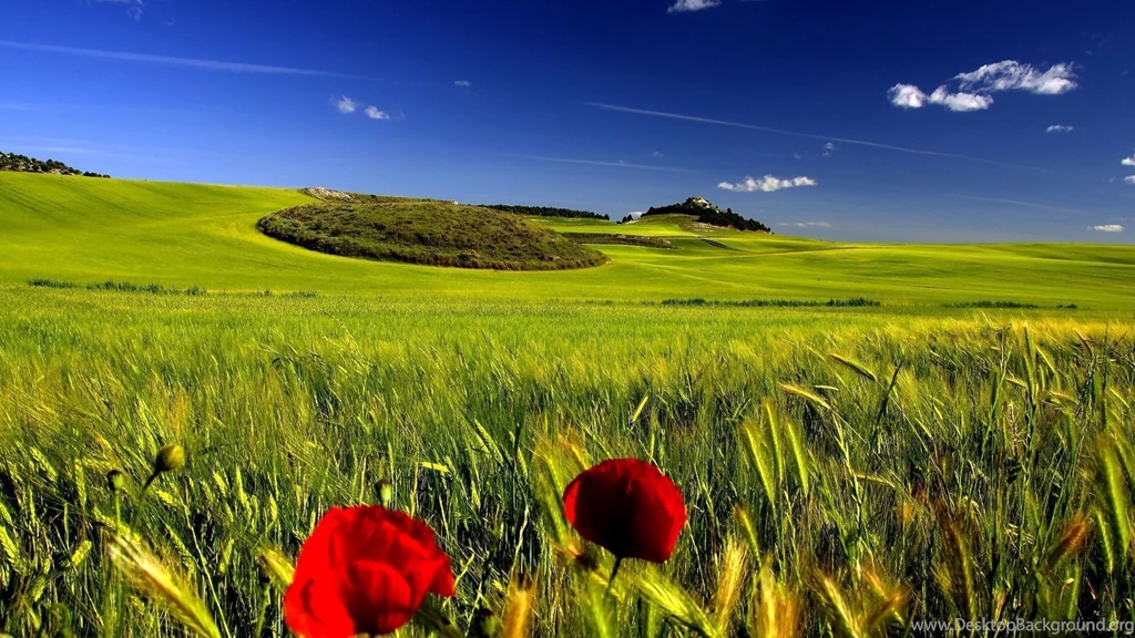 HD Nature Background Images