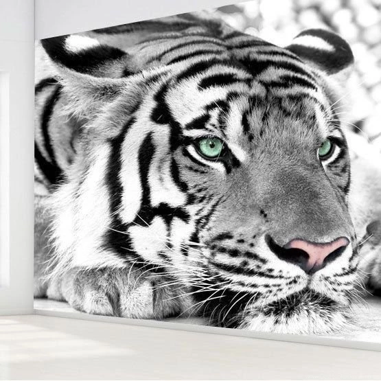Online Buy Wholesale White Tiger Wallpapers From China White Tiger ...