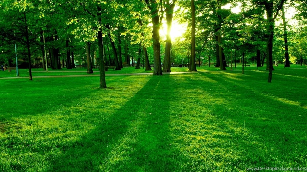 Desktop Backrounds Wallpapers, Images, Photos, Pictures