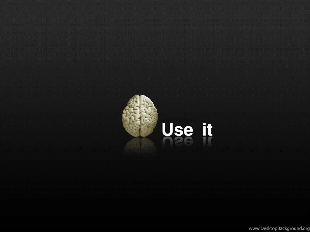 Funny Wallpapers Stupid Hd 4365 Wallpapers Cool Walldiskpaper Com ...