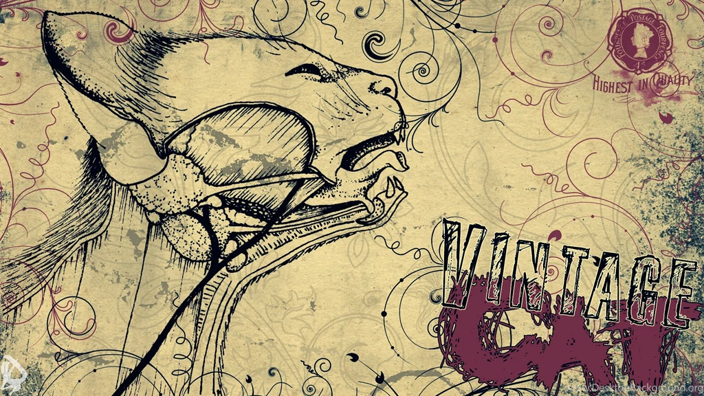 Best Vintage Wallpapers