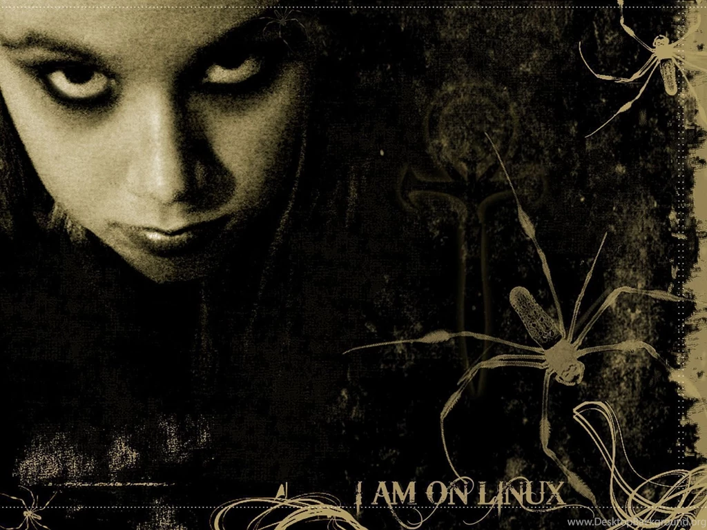 Horror Wallpapers Free Download_hd Wallpaper_download Free Wallpapers