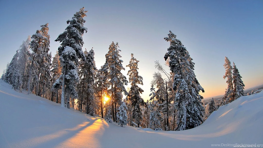 Winter Wallpapers Hd 1622440