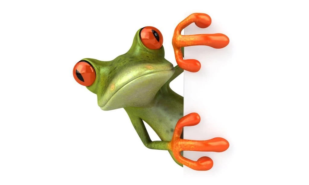 Free Frog 3d Wallpapers For Desktop Resolution 1280x768 81218 ...