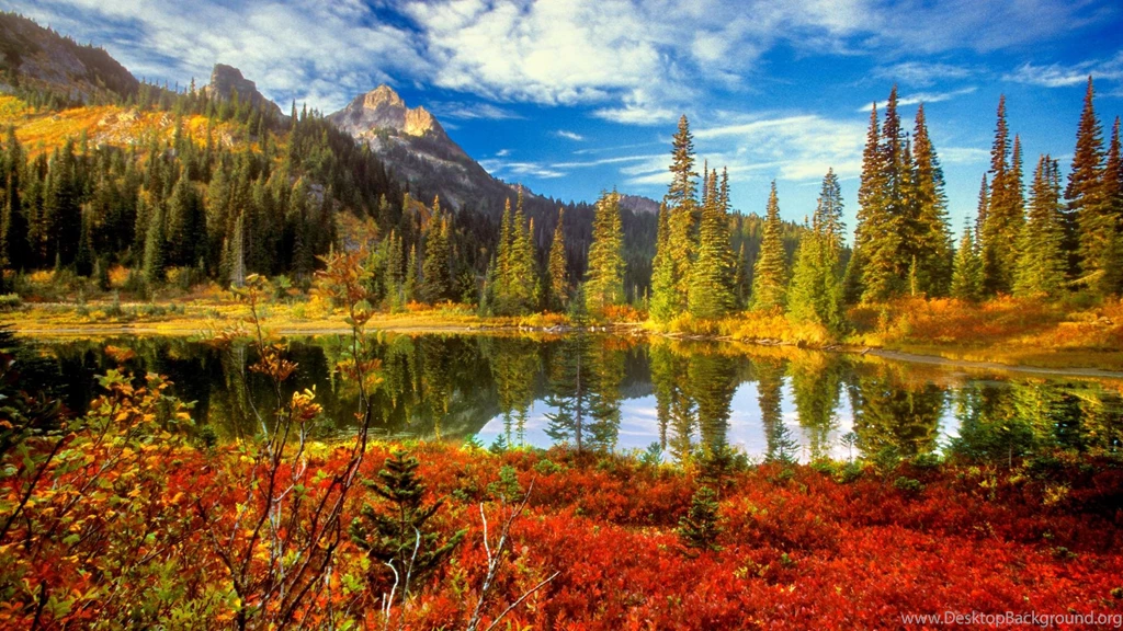 Wallpapers Dat Nature 1920x1080