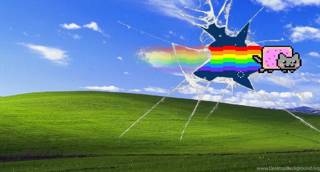 Nyan Cat!!! Talking And Having Fun Wallpapers (36415835) Fanpop