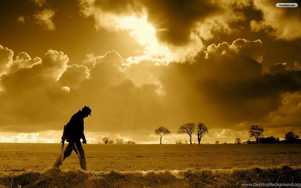 YouWall Golden Sky Landscape Wallpapers Wallpaper,wallpapers ...