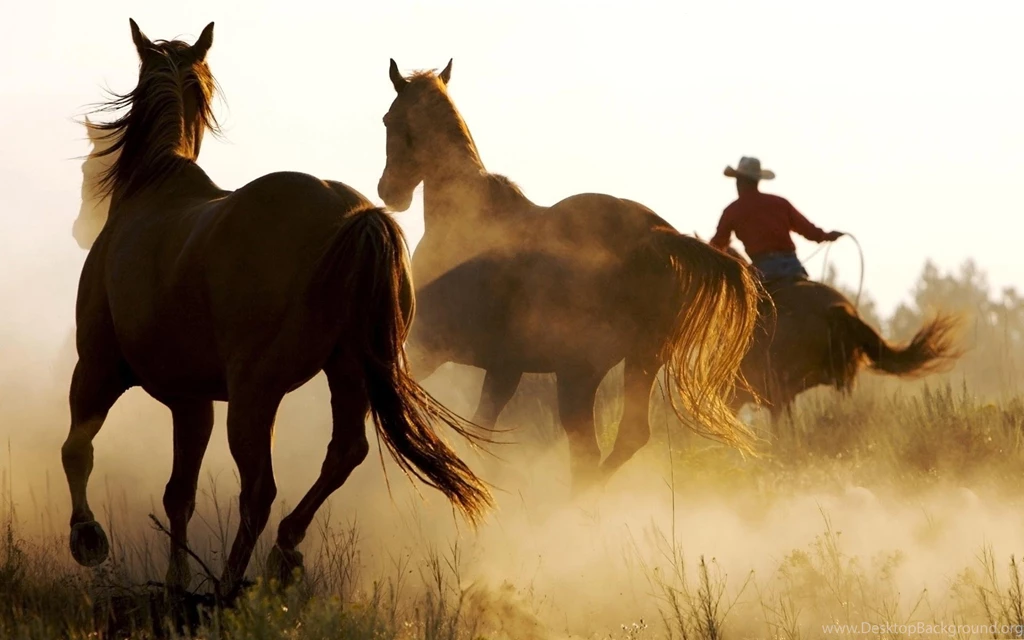 Country Cowboys Wallpapers Wallpaper.