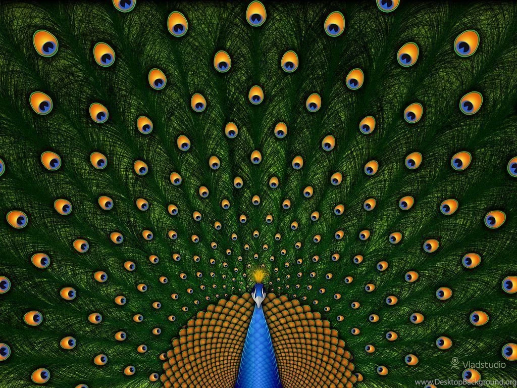 Peacock · Desktop Wallpapers · Vladstudio