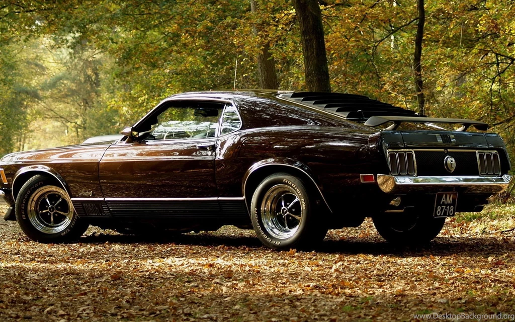 Ford Mustang Wallpapers And Images Wallpapers, Pictures, Photos