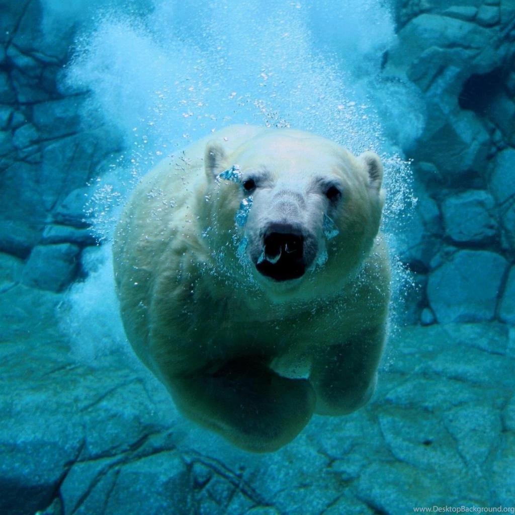 10 Best Clean Wallpapers For iPad ( Non Retina ) iPad 1, iPad 2 ...