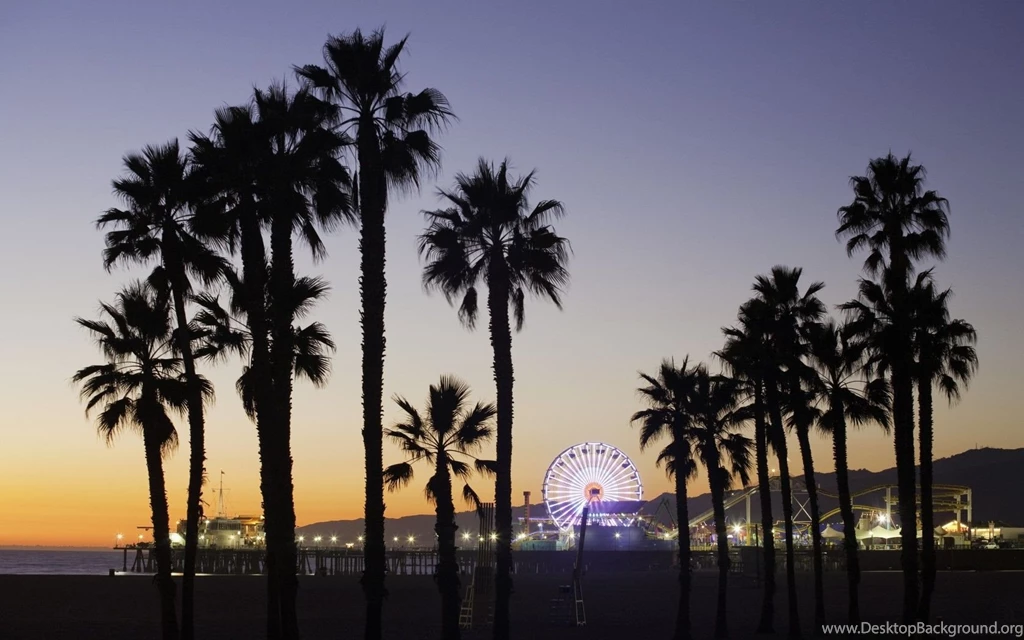 Sunrise Beach Palm Tree Wallpaper.
