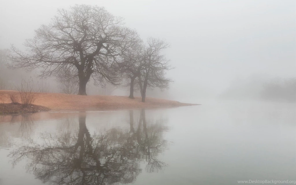 Fog HD Wallpapers , New Wallpapers, New Wallpapers