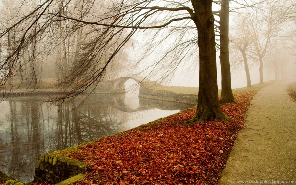 Autumn Park Fog Wallpapers (