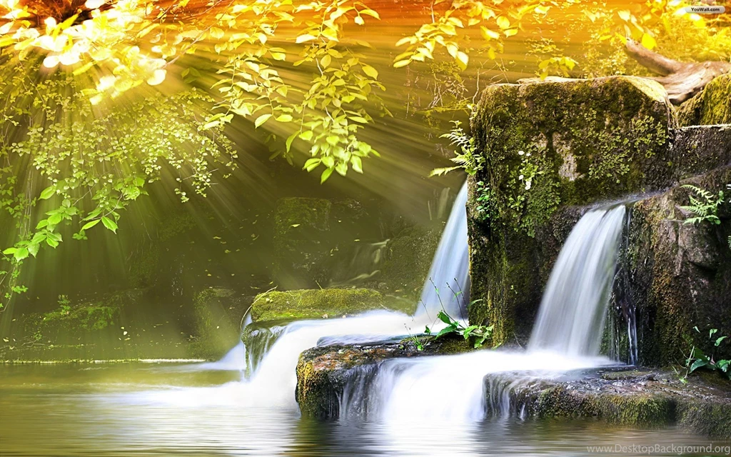 Free Desktop Wallpapers Spring Desktop Backgrounds
