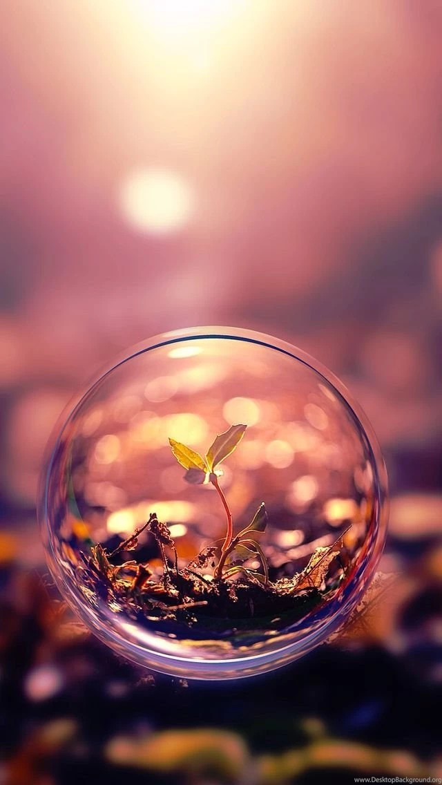 Autumn Rain iPhone 5s Wallpapers Download