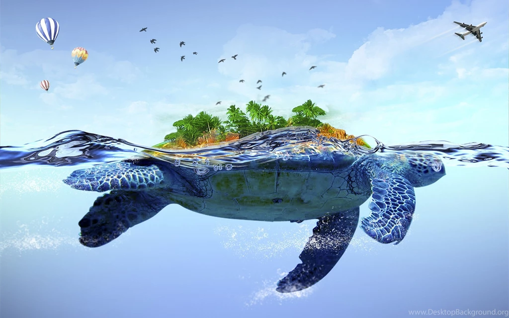 Turtle Wallpapers HD