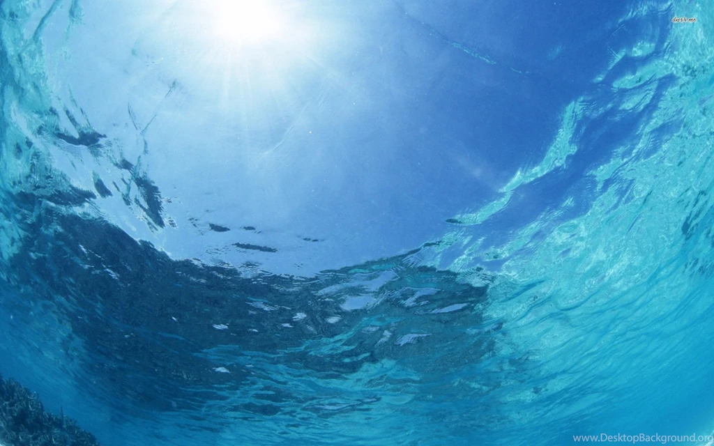 Underwater Wallpapers Nature Wallpapers