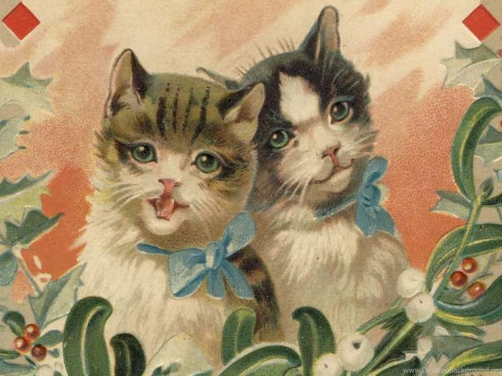 Kittens Wallpapers LilyZ Wallpapers (33124266) Fanpop