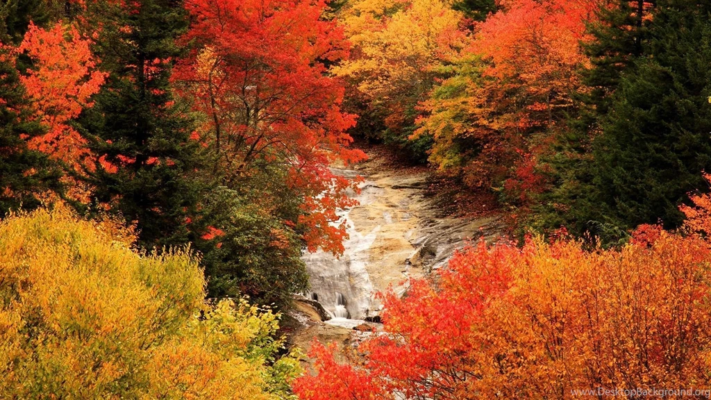 Beautiful Fall, Autumn, Blue, 1920x1080 HD Wallpapers And FREE ...