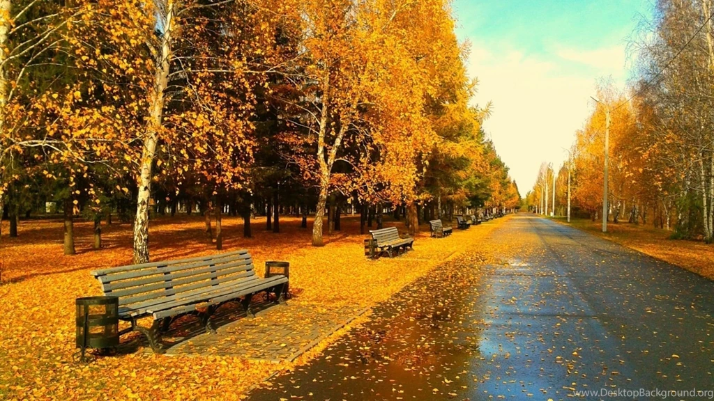Download Autumn Wallpapers Wallpapers For Android