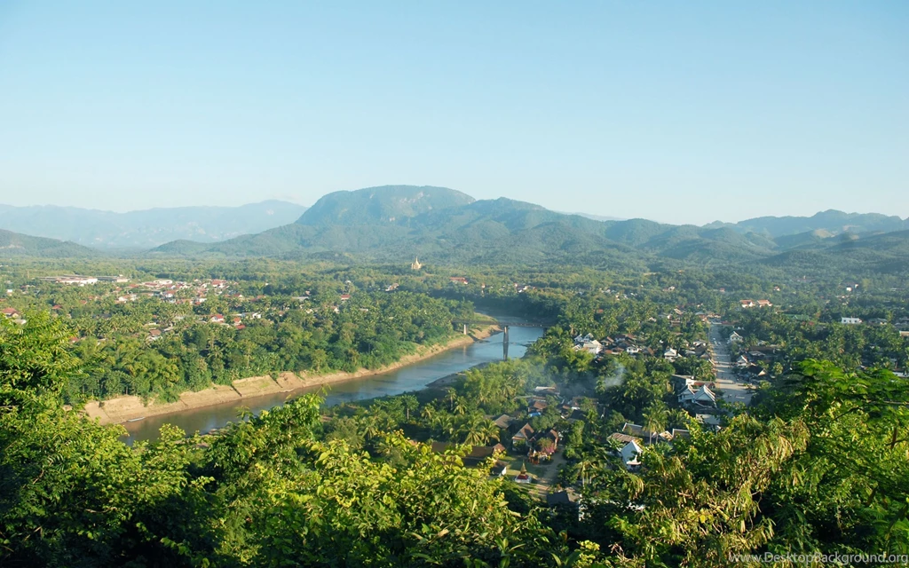 Sunflower Px Sunflower (id: 182131) – BUZZERG