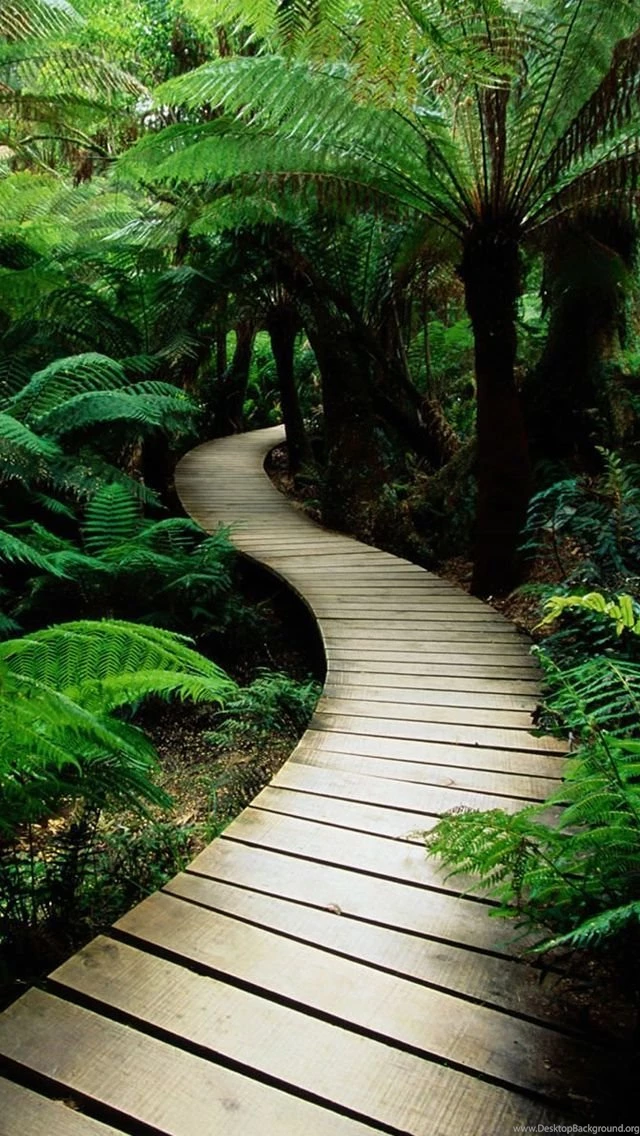 Iphone & Android On Pinterest