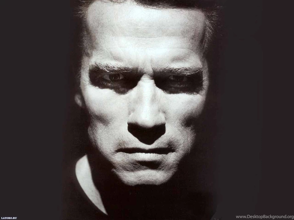 Arnold Schwarzenegger Desktop Wallpapers FREE On Latoro.com