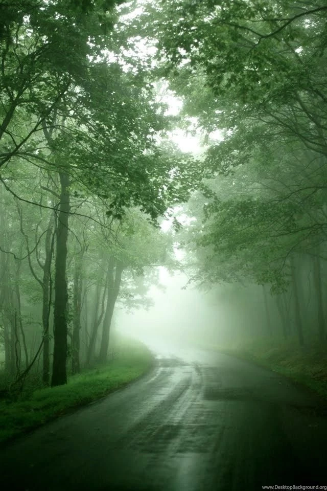 Nature Wallpapers Hd For Mobile TechnoRepublica