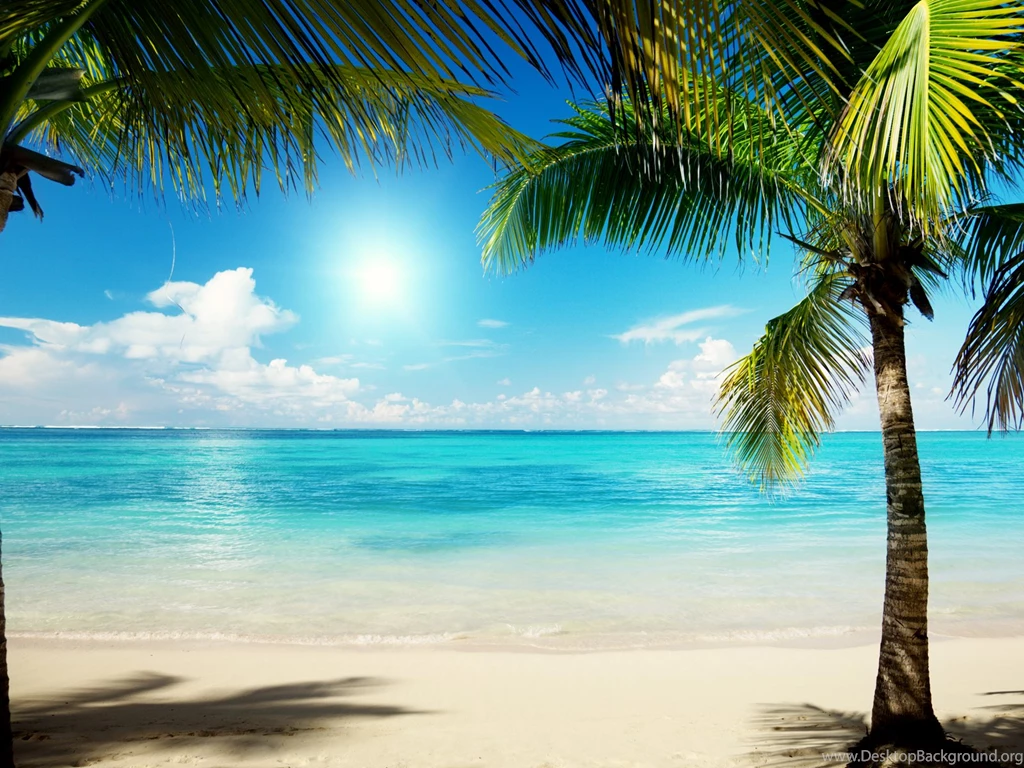 Download Summer Wallpapers High Resolution Desktop Background