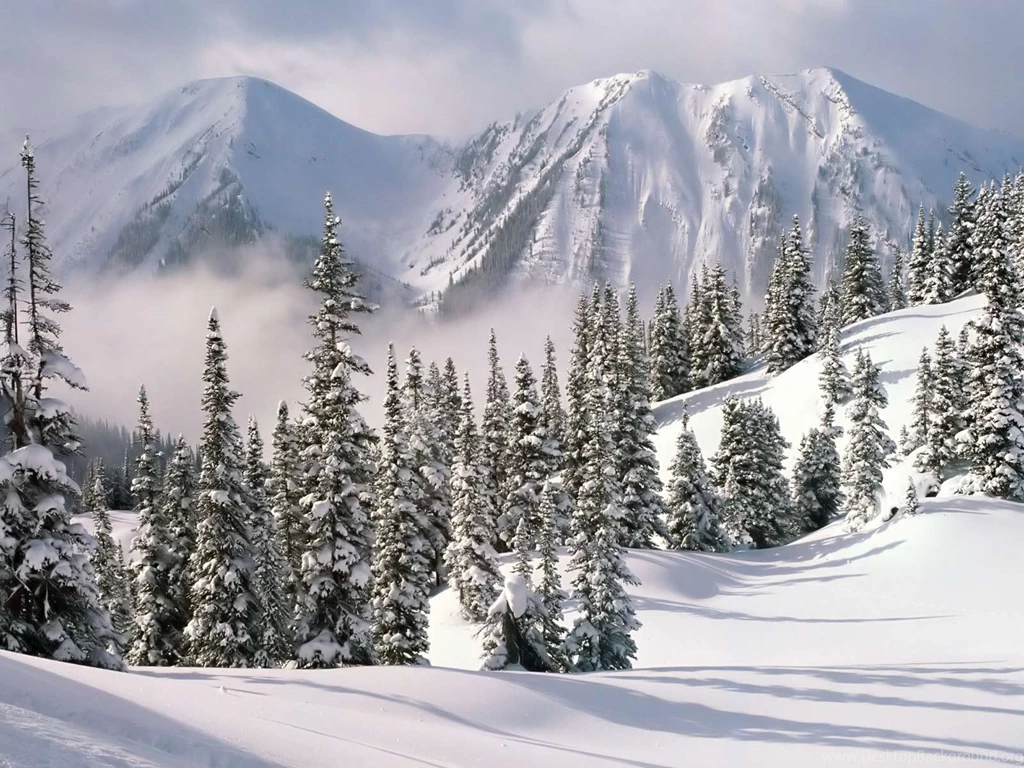 Top 16001200 Winter Snow Scenes Images For Pinterest