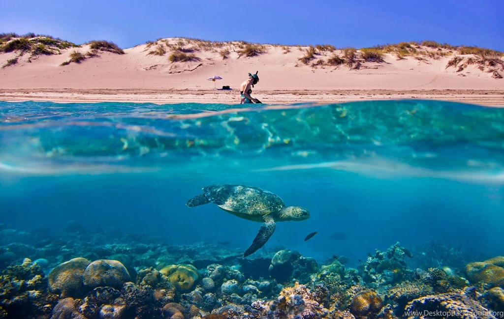 Australia Beach Wallpaper, Australia Beach Photos, New Wallpapers