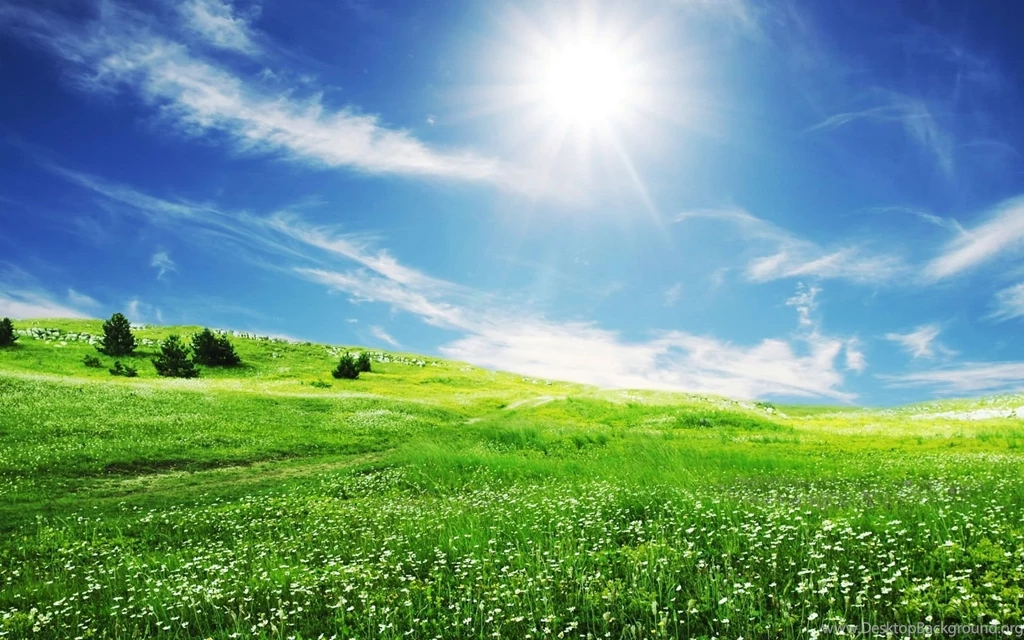 Spring Desktop Backgrounds