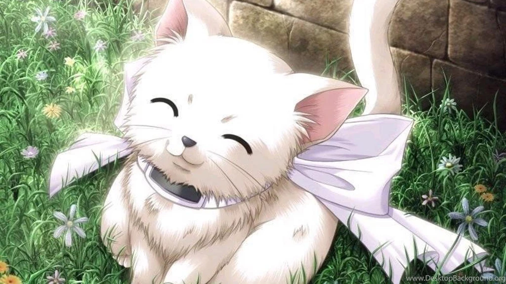 Kitty Cute Anime Original Wallpapers