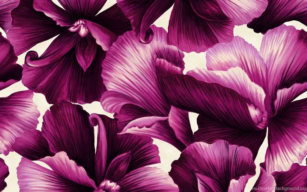HD Flower Illustrations Design Floral Patterns Floral ...