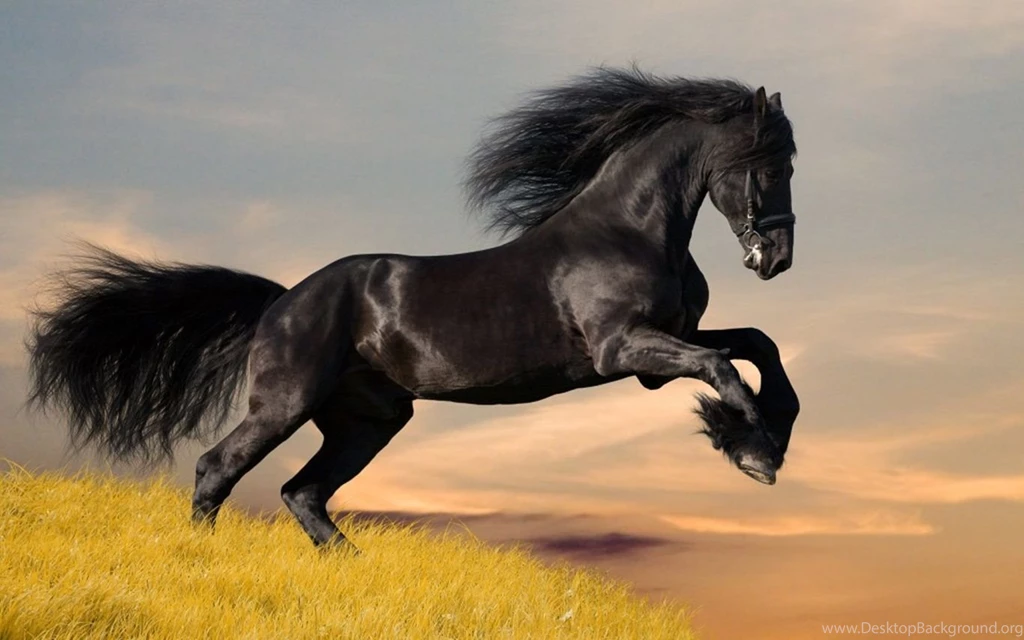 Best Desktop Wallpapers (22 Photos)