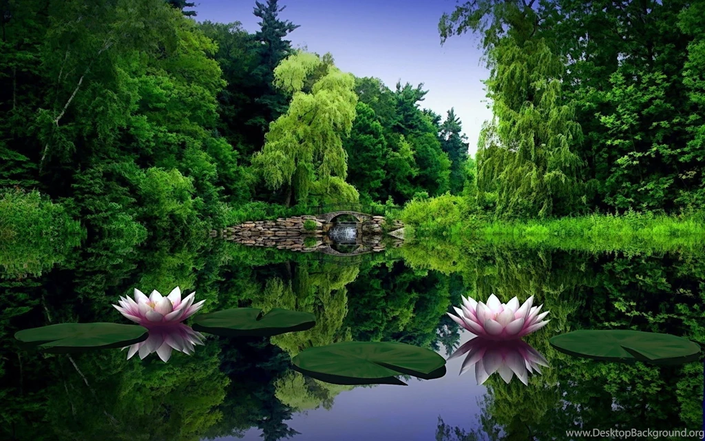 Cool Apple Wallpapers Full HD