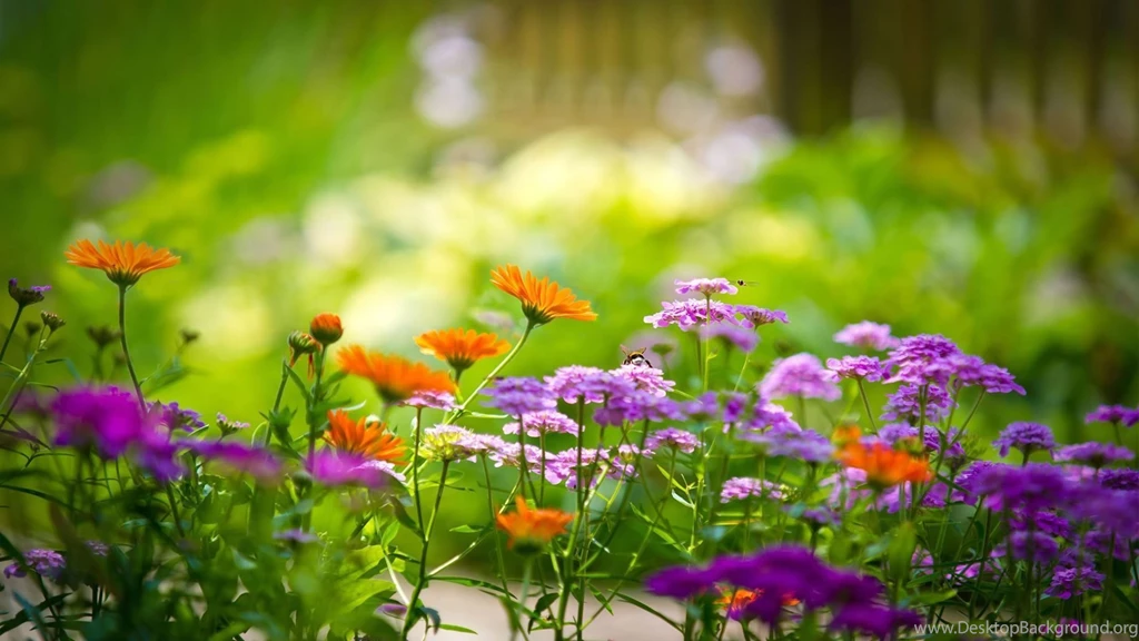 Flower wallpaper 2015.jpg
