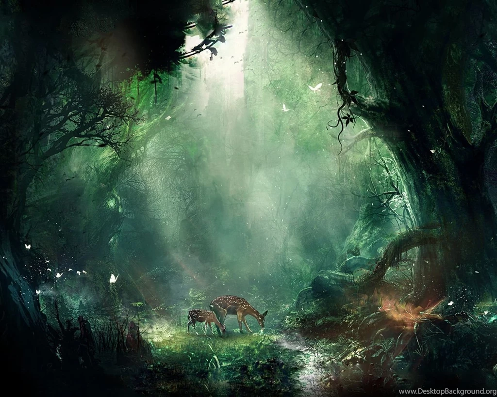 1280x1024 Jungle Wallpapers HD, Desktop Backgrounds 1280x1024 ...