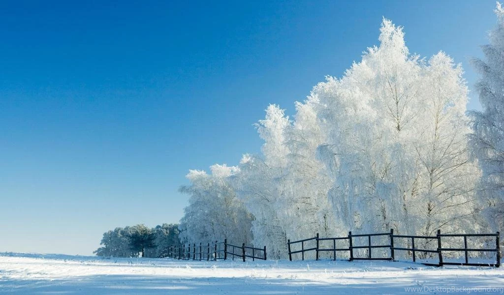 Snow Backgrounds Wallpapers 1024x600 For 17 inch Wide