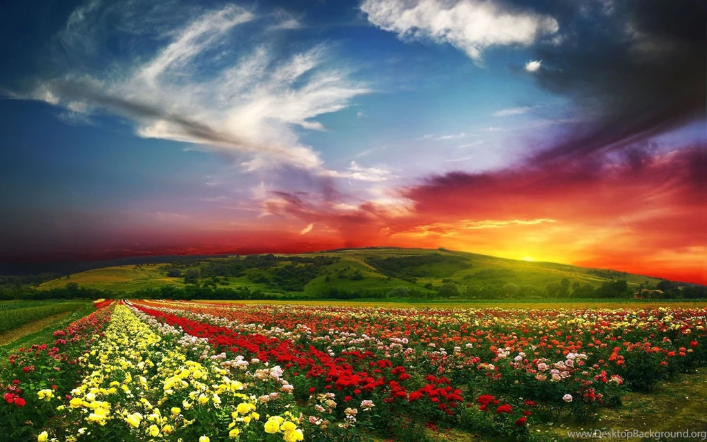 HD Wallpapers HD Wallpapers