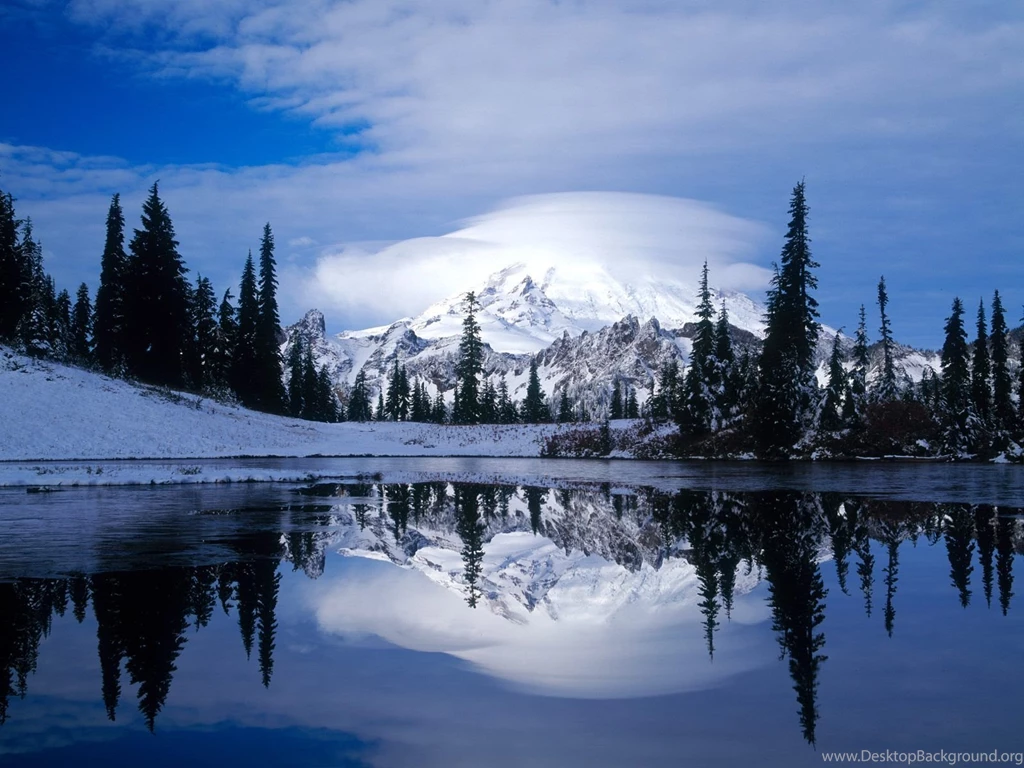 Snowy Wallpapers