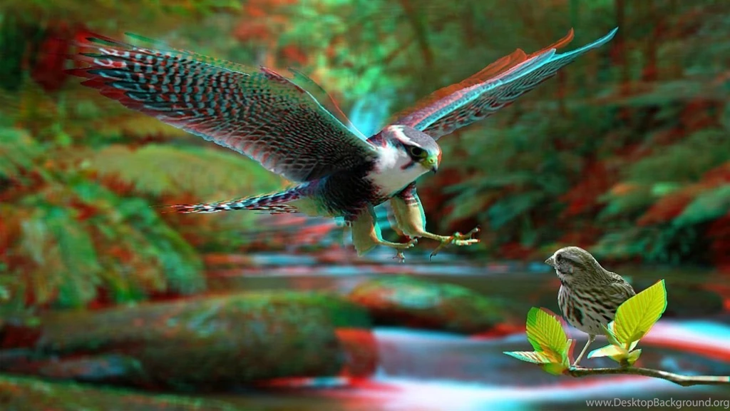 Top 3d Anaglyph Hd Images For Pinterest